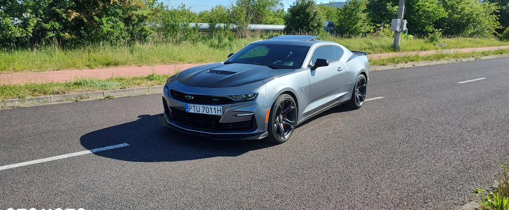 chevrolet turek Chevrolet Camaro cena 185000 przebieg: 22700, rok produkcji 2021 z Turek